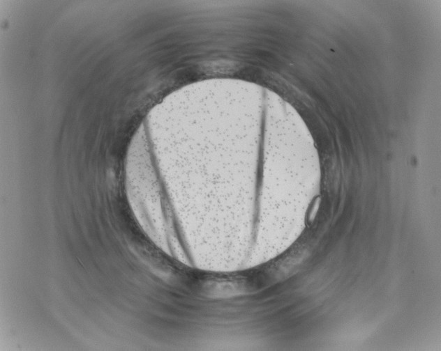 X0000074950655200609291849