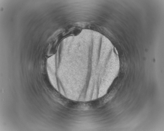 X0000074950656200609291849