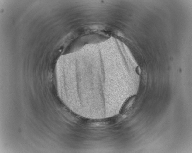 X0000074950657200609291849