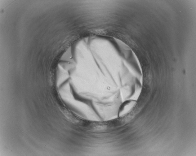 X0000074950658200609291849