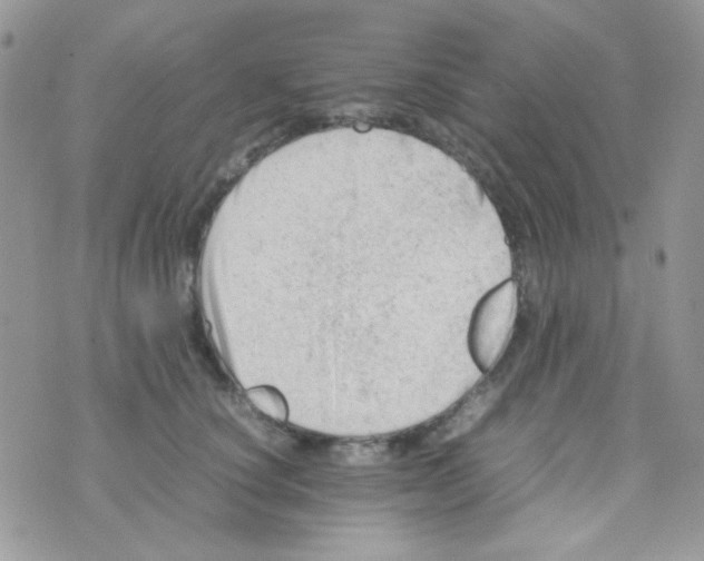 X0000074950660200609291849