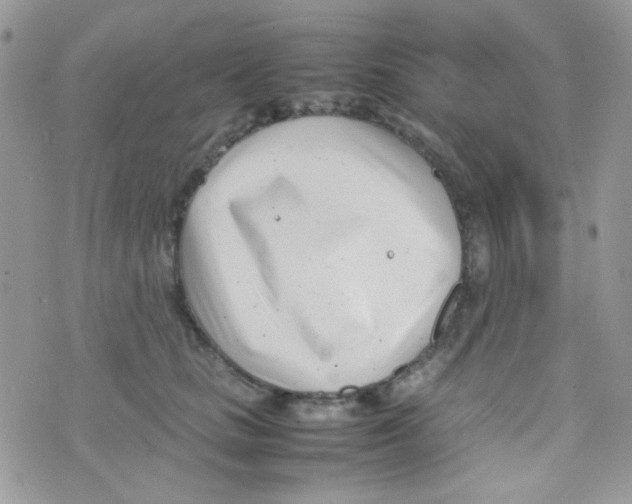 X0000074950661200609291849