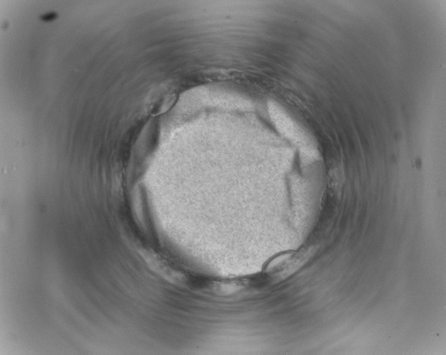 X0000074950662200609291849