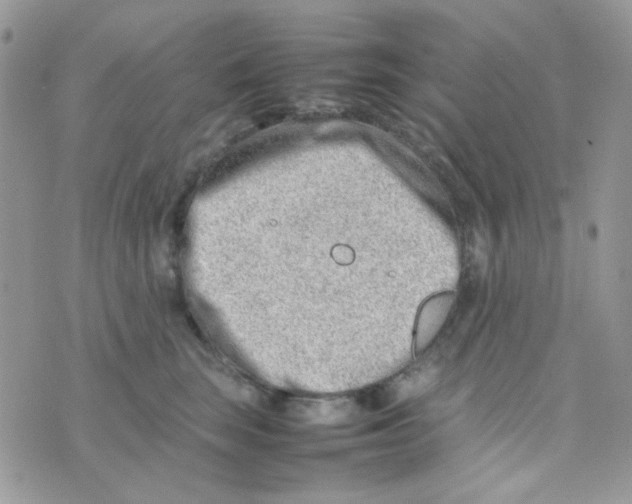 X0000074950663200609291849