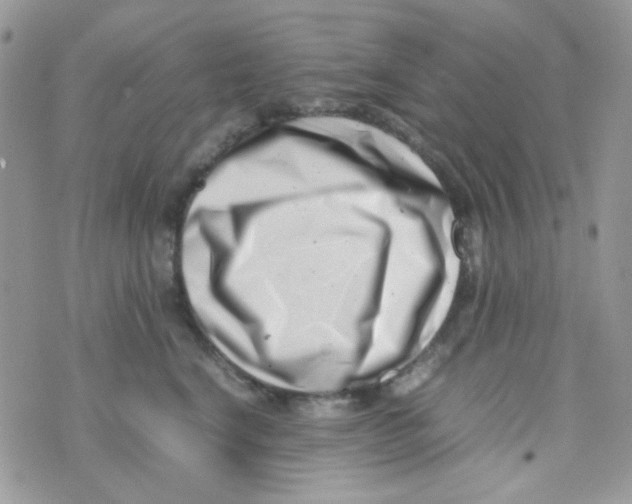 X0000074950664200609291849