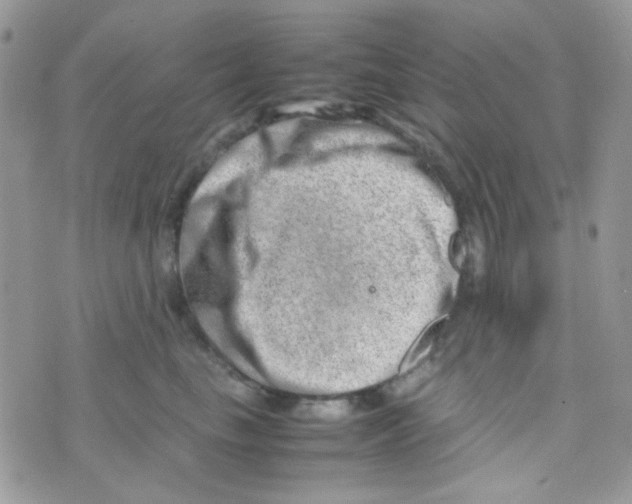 X0000074950665200609291849