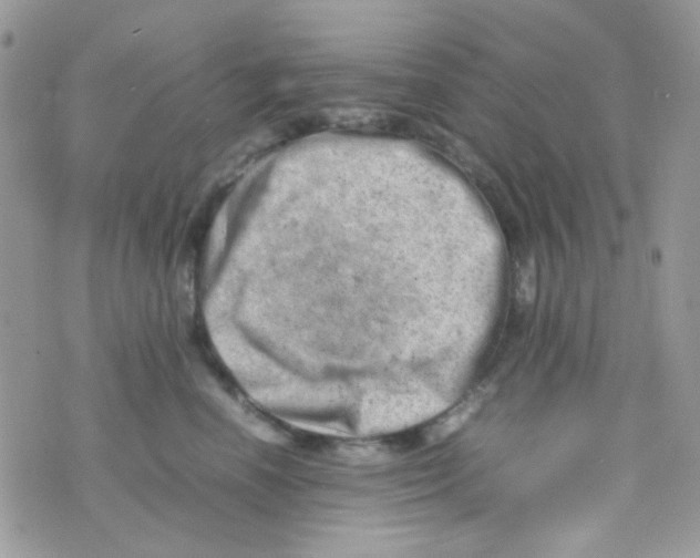 X0000074950666200609291849