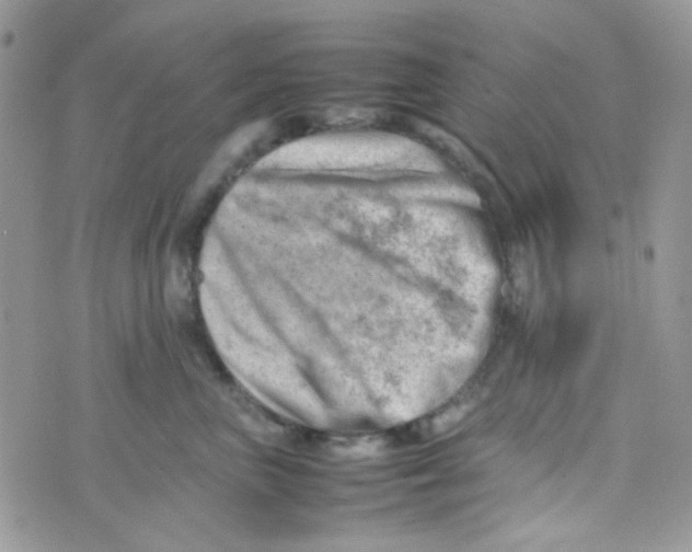 X0000074950667200609291849