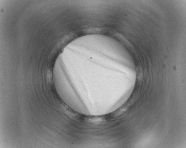 X0000074950669200609291849