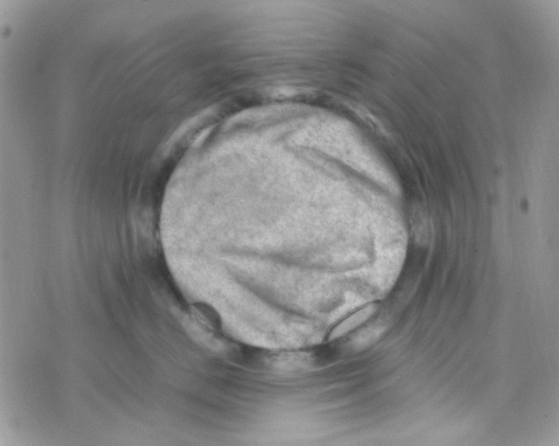 X0000074950670200609291849