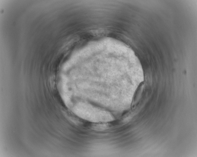 X0000074950671200609291849