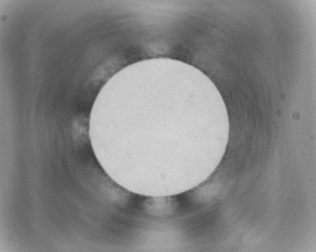 X0000074950672200609291849