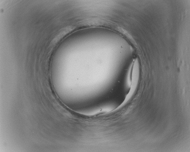 X0000074950673200609291848