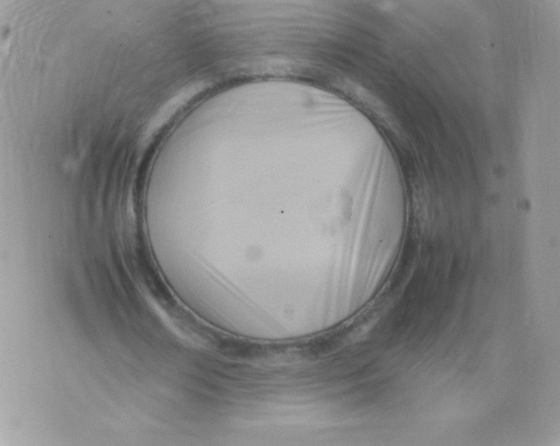 X0000074950674200609291848