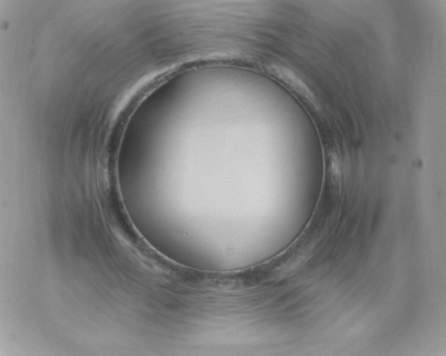 X0000074950676200609291848