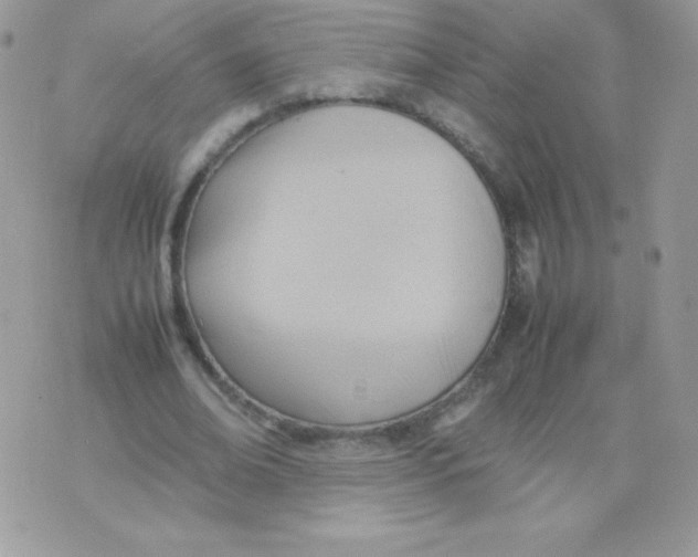 X0000074950678200609291848