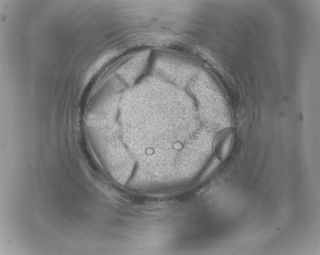 X0000074950679200609291848