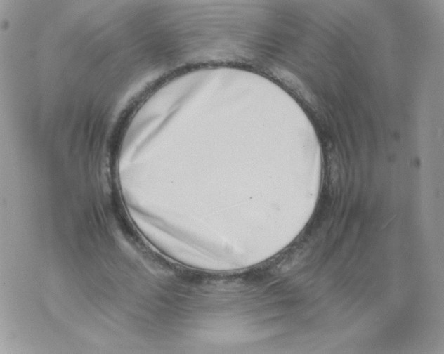 X0000074950680200609291848