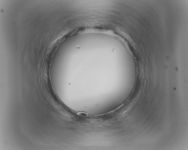 X0000074950681200609291848