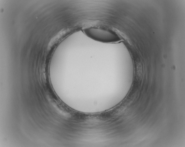 X0000074950682200609291848