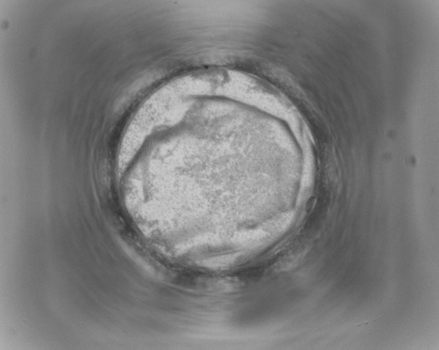 X0000074950683200609291848