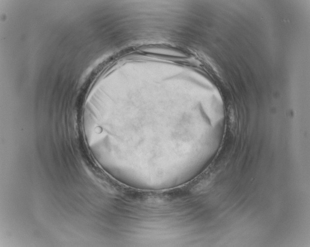 X0000074950684200609291848