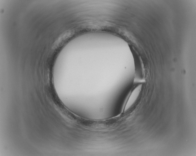 X0000074950685200609291848