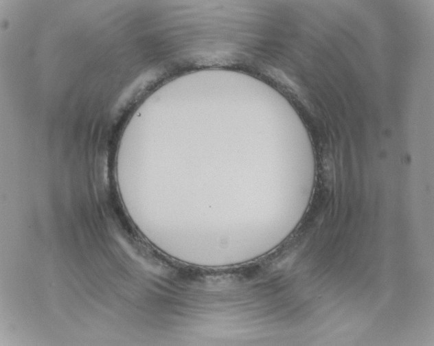 X0000074950686200609291848