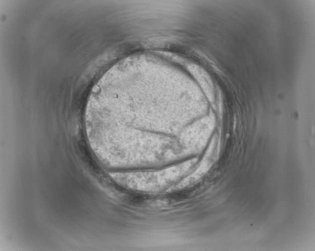 X0000074950687200609291848