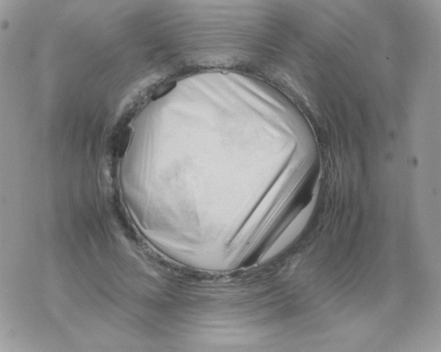 X0000074950688200609291848