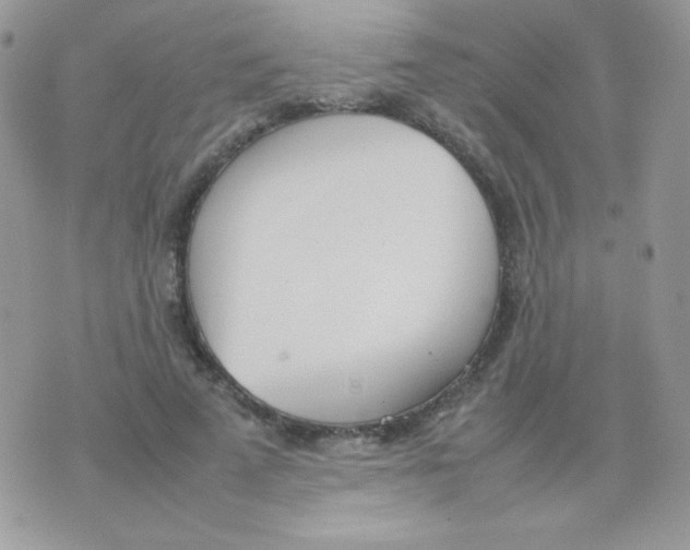 X0000074950689200609291848