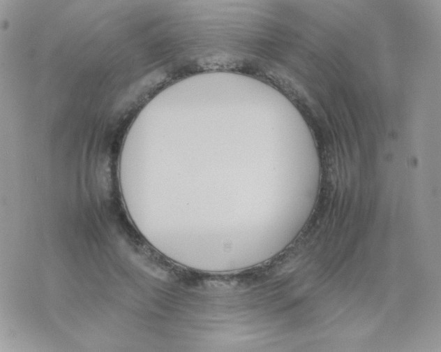 X0000074950690200609291848