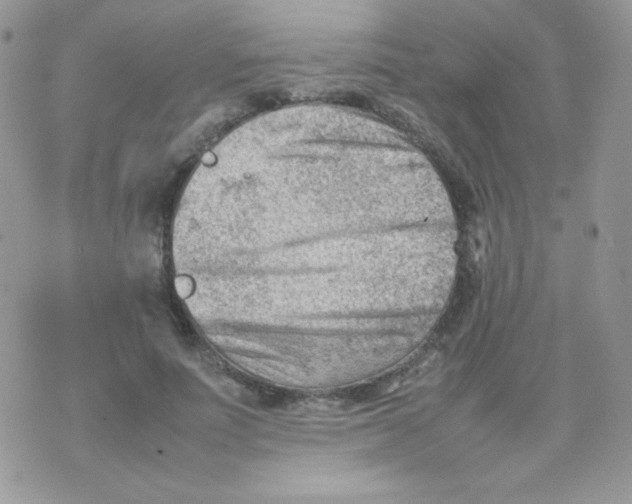 X0000074950691200609291848