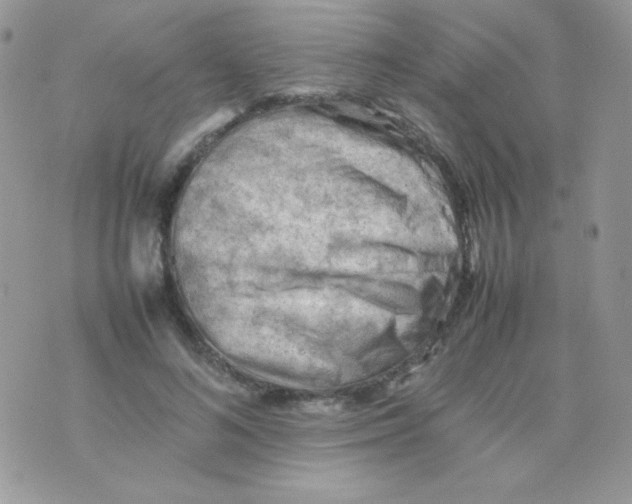 X0000074950692200609291848