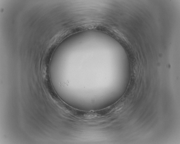 X0000074950693200609291848