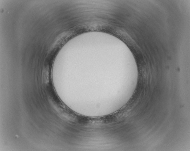 X0000074950694200609291848