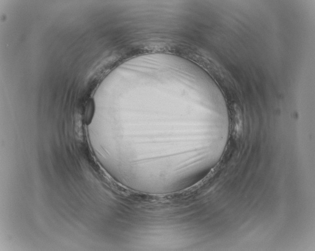 X0000074950696200609291848