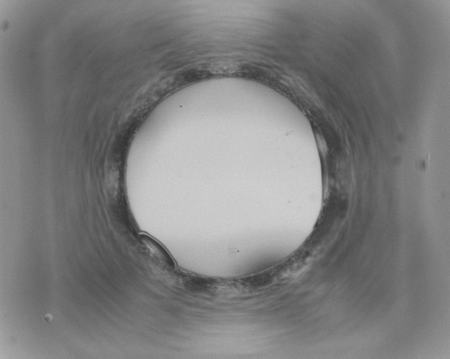 X0000074950697200609291848