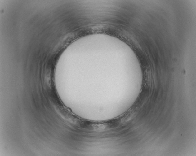 X0000074950698200609291848