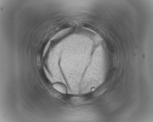 X0000074950699200609291848