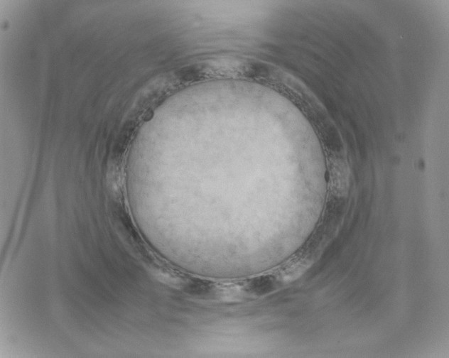 X0000074950701200609291848