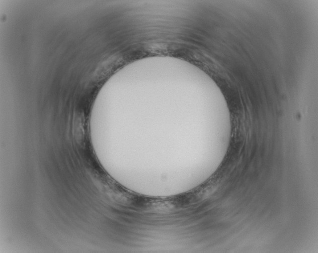 X0000074950702200609291848