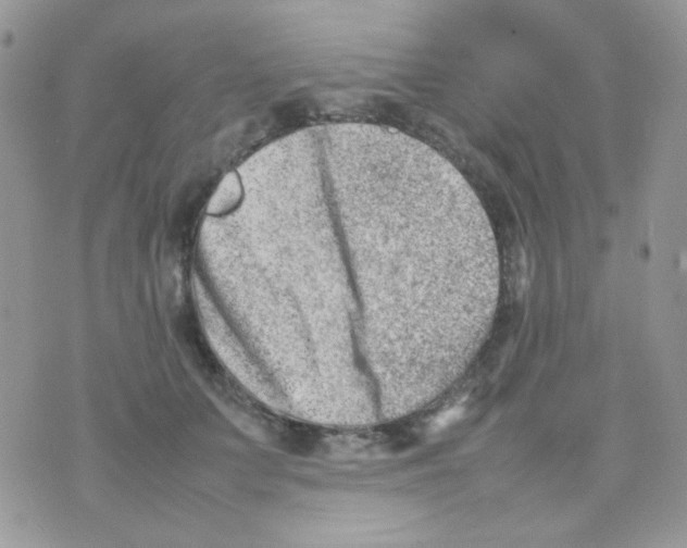 X0000074950703200609291848