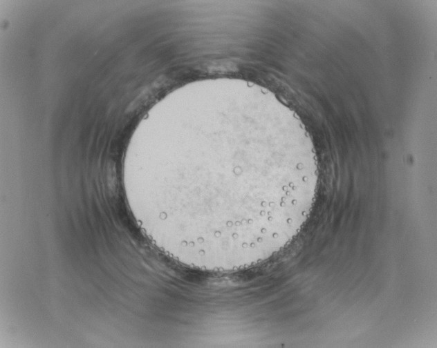 X0000074950704200609291848