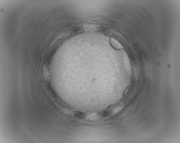 X0000074950705200609291847