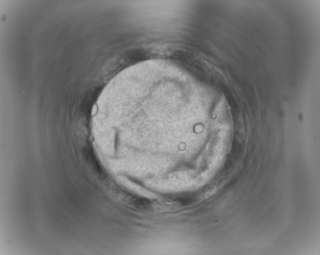 X0000074950707200609291847