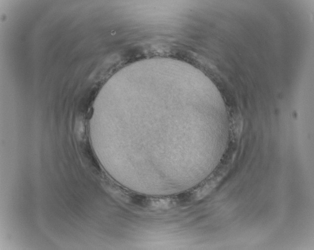 X0000074950709200609291847