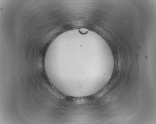 X0000074950710200609291847