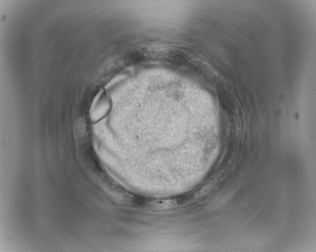 X0000074950711200609291847