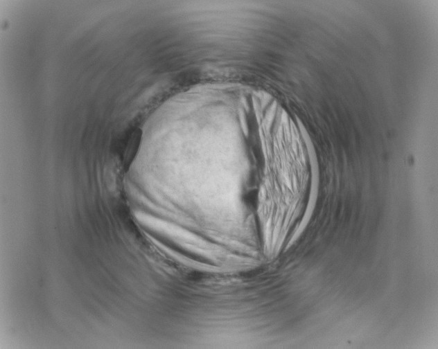 X0000074950712200609291847